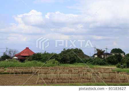Scenery with a rice rack Tokikawa Town Scenery with a rice rack Tokikawa Town 93183627