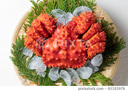 Fresh Hanasaki crab 93183976