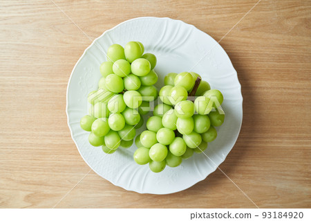 閃耀馬斯喀特 93184920