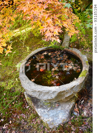 Chozubachi and autumn leaves in a Japanese garden Chozubachi and autumn leaves in a Japanese garden 93185194