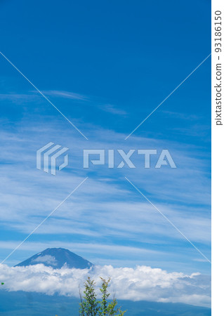 富士山在夏天 93186150