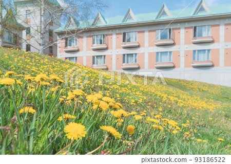 Sakura in Hokkaido 93186522