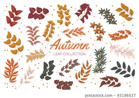 Vintage autumn forest branches with leaves collection. Flat hand drawn vector illustration set of foliage Vintage autumn forest branches with leaves collection. Flat hand drawn vector illustration set of foliage 93186837
