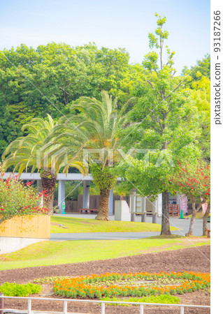 Hamanako Garden Park in early summer 93187266