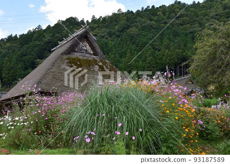 Kayabuki no Sato Miyama When the soba flowers bloom Kayabuki no Sato Miyama When the soba flowers bloom 93187589