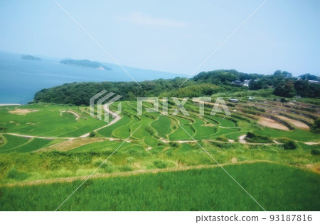 Oura Terraced Rice Fields in Karatsu City Oura Terraced Rice Fields in Karatsu City 93187816