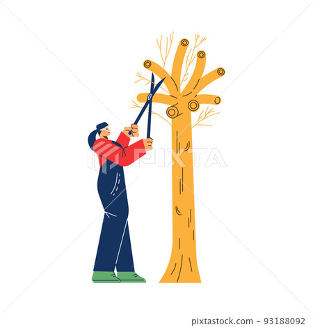 Female gardener or lumberjack pruning tree branches with shears, flat vector illustration isolated on white. Female gardener or lumberjack pruning tree branches with shears, flat vector illustration isolated on white. 93188092