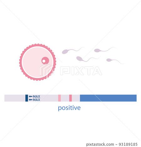 positive pregnancy test fertilized ovum and sperm positive pregnancy test fertilized ovum and sperm 93189185