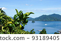 Blue oranges and Setouchi 93189405