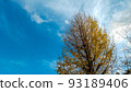 Autumn sky and tree 93189406