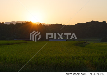 黃昏的鄉村,夕陽照亮的金色田野 黃昏的鄉村,夕陽照亮的金色田野 93189492