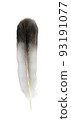 feather 93191077