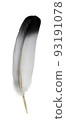 feather 93191078