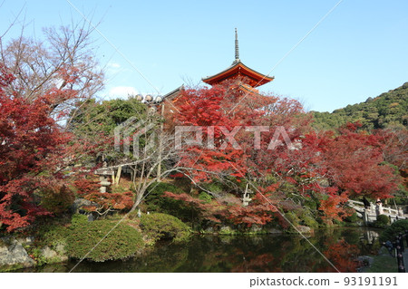 Kyoto World Heritage Kiyomizu-dera Temple/Autumn/Autumn Leaves 93191191