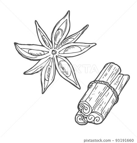 Vector illustration of a square format. Spices. For menus, coffee houses, postcards, print. Cinnamon sticks, star anise, cloves. Lineart on a white background. 93191660
