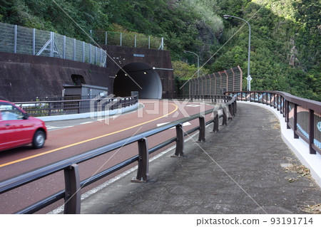從連接八丈島的大賀鄉和歙館地區的大阪隧道附近眺望 從連接八丈島的大賀鄉和歙館地區的大阪隧道附近眺望 93191714