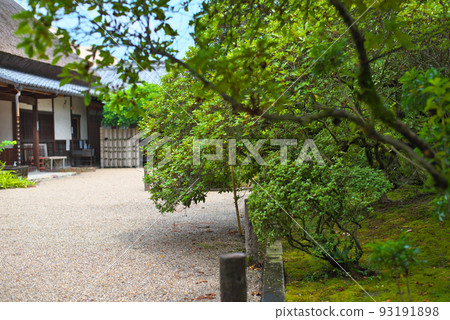 金剛寺_墨綠色的樹木和九里 93191898