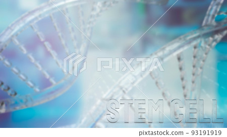 The  stem cell text on dna background for sci or medical concept 3d rendering 93191919
