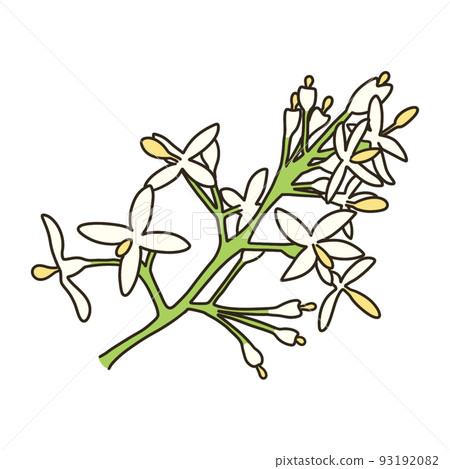 Cimmetnelico 93192082