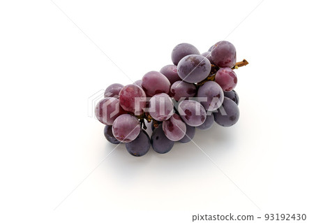 Grape (Kyoho) 93192430