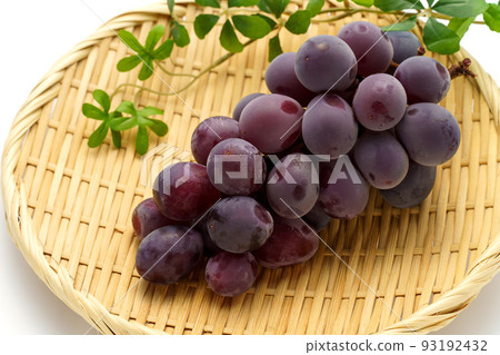 Grape (Kyoho) Grape (Kyoho) 93192432