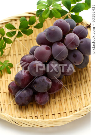 Grape (Kyoho) 93192433