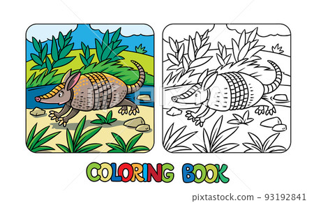 Funny running armadillo Kids animals coloring book 93192841