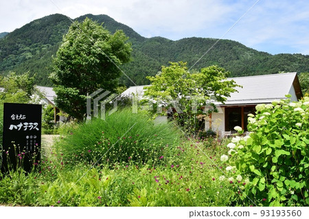 Fuji Kawaguchiko Town Fuji Oishi Hana Terrace, fresh greenery and mountains Fuji Kawaguchiko Town Fuji Oishi Hana Terrace, fresh greenery and mountains 93193560