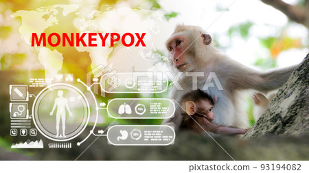 Symptom monkeypox cell with wild monkey animal MPXV virus Symptom monkeypox cell with wild monkey animal MPXV virus 93194082