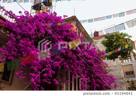 尼泊爾加德滿都 Thamel 區的 Tahiti Chowk 城鎮景觀 尼泊爾加德滿都 Thamel 區的 Tahiti Chowk 城鎮景觀 93194841