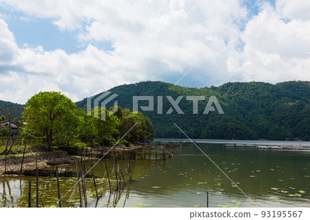 Phewa lake scenery from the lakeside of Pokhara, Nepal 93195567