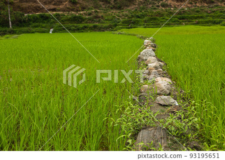 Rural scenery near Pokhara, Nepal 93195651