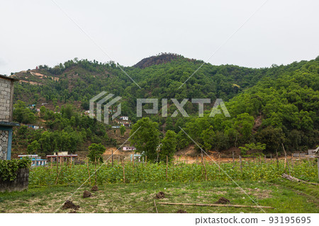 Rural scenery near Pokhara, Nepal 93195695