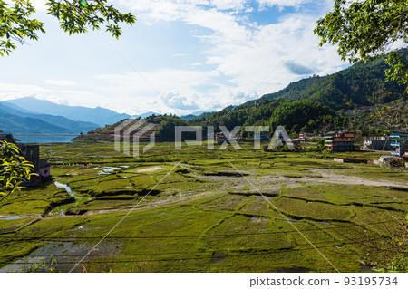 尼泊爾博卡拉郊區的景觀 93195734