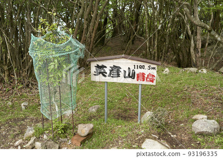 日本 200 座名山 Hiko Minamidake 山頂 93196335
