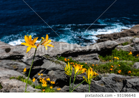 [新潟/佐渡地質公園] 國家指定天然紀念物：平根崎的波蝕坑洼 93196648