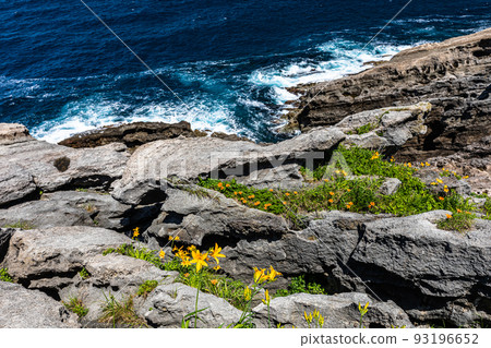 [Niigata/Sado Geopark] National designated natural monument: Wave-eating potholes at Hiranezaki June 93196652
