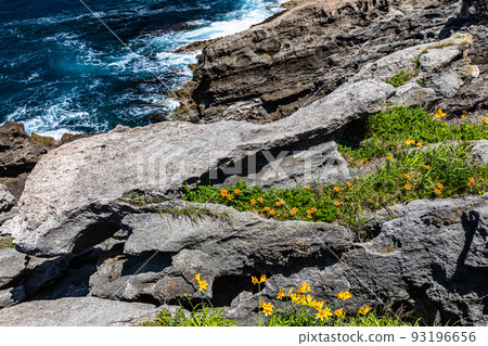 [Niigata/Sado Geopark] National designated natural monument: Wave-eating potholes at Hiranezaki June 93196656