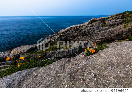 [Niigata/Sado Geopark] National designated natural monument: Wave-eating potholes at Hiranezaki June 93196665