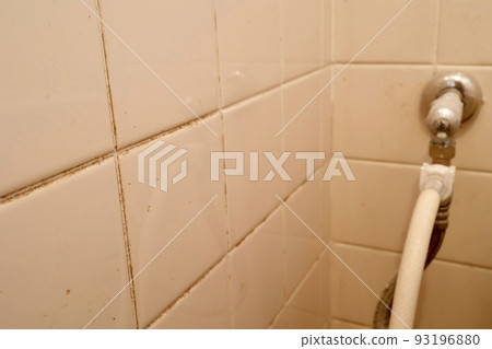 mold in tile gaps 93196880