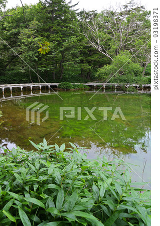 [群馬縣]萬座溫泉牛池風景 93198371