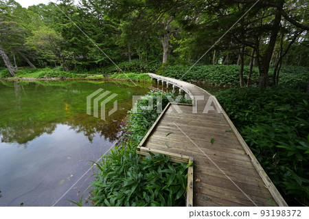 [群馬縣]萬座溫泉牛池風景 93198372