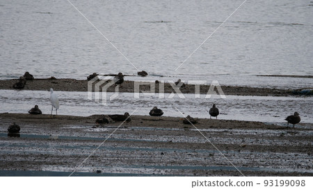 律洞公園 93199098