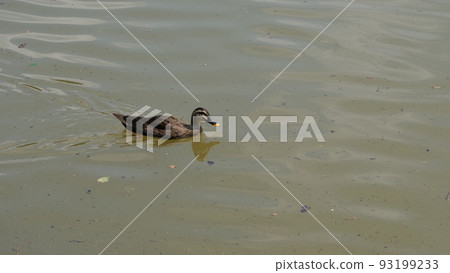 律洞公園 律洞公園 93199233