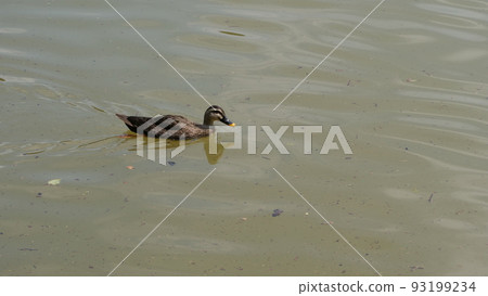 律洞公園 93199234