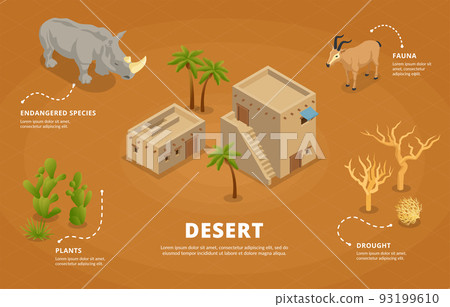Desert Isometric Infographics Illustration 93199610