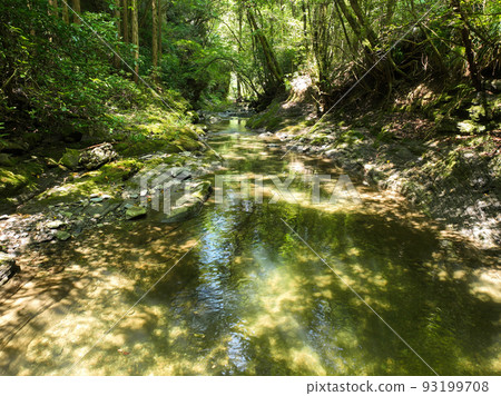 Scenery of Senba Valley, Tobe Town, Ehime Prefecture 93199708