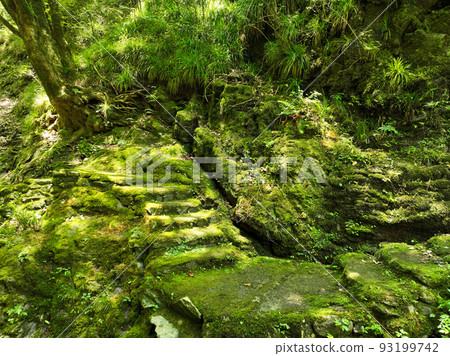 Scenery of Senba Valley, Tobe Town, Ehime Prefecture 93199742