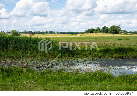 Panoramic view over the green wetlands around the River IJssel, Hattem, The Netherlands Panoramic view over the green wetlands around the River IJssel, Hattem, The Netherlands 93199954