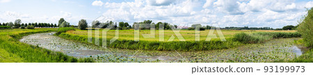 Panoramic view over the green wetlands around the River IJssel, Hattem, The Netherlands Panoramic view over the green wetlands around the River IJssel, Hattem, The Netherlands 93199973